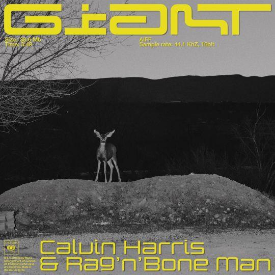 Calvin Harris & Rag N Bone Man — Giant