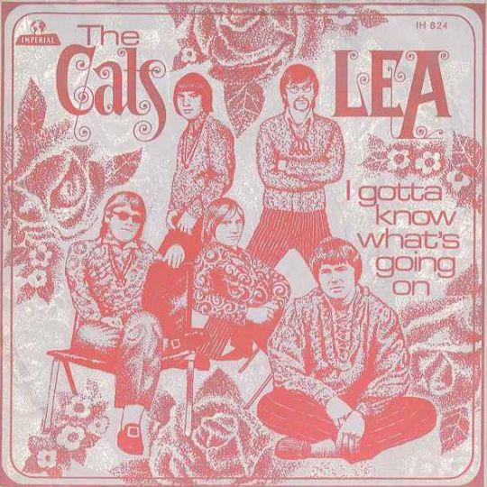 Cats — Lea