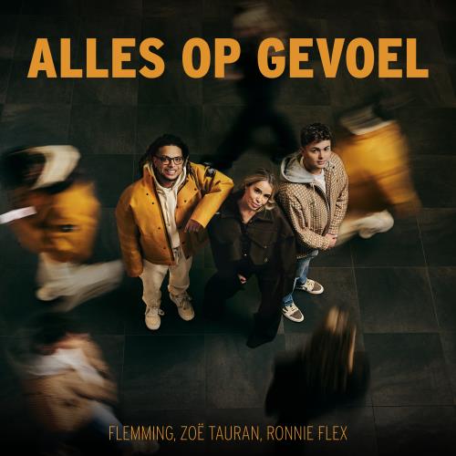 Flemming, Zoe Tauran, Ronnie Flex — Alles Op Gevoel