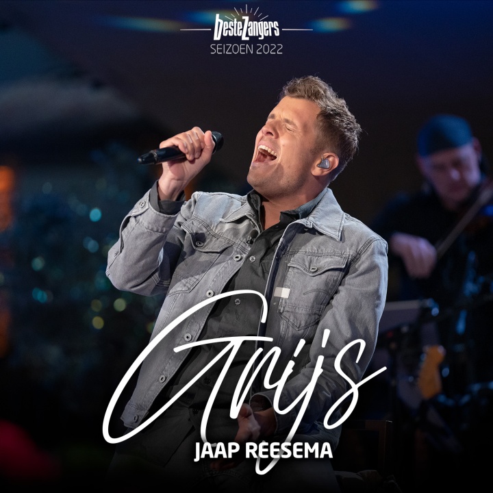 Jaap Reesema — Grijs