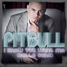 Pitbull — I Know You Want Me