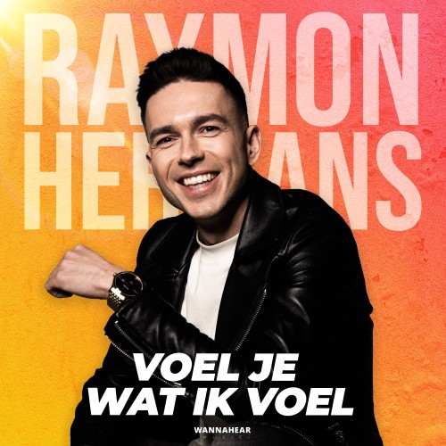 Raymon Hermans — Voel Je Wat Ik Voel