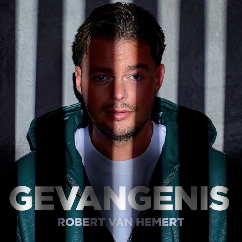 Robert van Hemert — Gevangenis