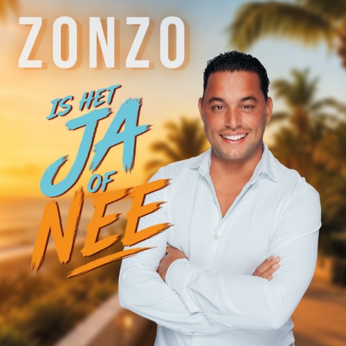 Zonzo Basily — Ja Of Nee